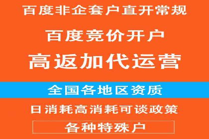 深度解析百度广告竞价：成功案例分享